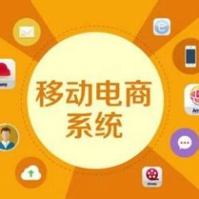 蓝山老师 社交电商时代的引路人